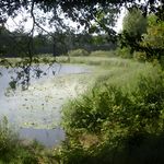 AUDE DOMAINE 184 HA LAC GÎTES