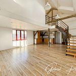 Loft 5 pièce(s) 96 m2