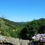 Ferme rénovée avec 8305m² de terrains env.