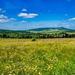 ARDECHE FERME 48 HA RUISSEAU SOURCES