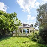 Maison de 163m2 sur sous-sol avec terrain arboré de 6100m2