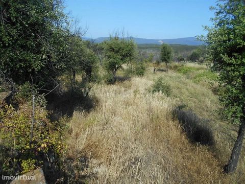 Farm with an area of 4560 m2 with a well and fertile soil, well located. Book your visit! Excluded from the SCE, under Article 4, decree-law No. 118/2013, of August 20.