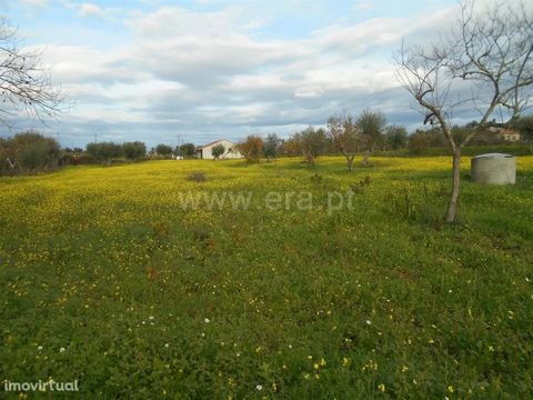 Farm with 5.975m2, composed of olive trees, vineyards, fruit trees and an agricultural support construction, with a well and irrigation water. Tar access and electricity to the door. Excluded from the SCE, under Article 4, of Decree-Law No. 118/2013 ...