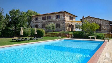 Country house with swimming pool and land for rent in Asciano, Siena. Immersed in the splendid landscape of the Crete Senesi characterized by rolling hills and avenues of cypresses. The real estate, used as accommodation business, consists of a main ...
