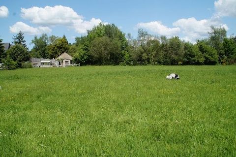 RARE on the sector, beautiful land of 2096m ² flat with servicing nearby, (mains drainage, EDF, Water ...). Quiet, close to the center of Taupont with local commerce. A few minutes walk from Lac au Duc, 5km from Ploërmel (Leclerc) with all shops, col...