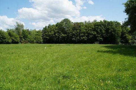 RARE on the sector, beautiful land of 2380m ² flat with servicing nearby, (mains drainage, EDF, Water ...). Quiet, close to the center of Taupont with local commerce. A few minutes walk from Lac au Duc, 5km from Ploërmel (Leclerc) with all shops, col...