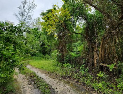 Peace and tranquility abound within this 7.5 acre tract of vacant land located about 1/4 mile off the Queen's Highway on a dirt road reservation, within close proximity to Rock Sound International Airport, Tarpum Bay and gorgeous beaches. This land w...