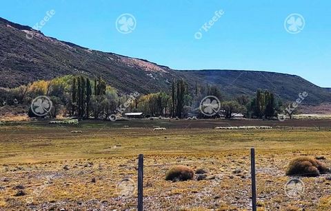 STAY WITH 7 KM OF COAST RESERVOIR, CAVE PAINTINGS, FOR 300 COWS OR 3000 SHEEP - EXCELLENT LOCATION Location and access: It is located in the department of Collon Cura in the province of Neuquén, 46 km. from Piedra del Aguila. It is accessed by nation...