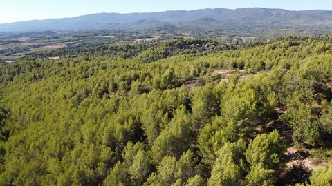 Large wooded land in a natural area of 3.53 hectares for mushroom lovers, hunting, huts, wood cutting for the fireplace, for family picnics, and other leisure .... Located in the Luberon Park in a non-constructile natural area