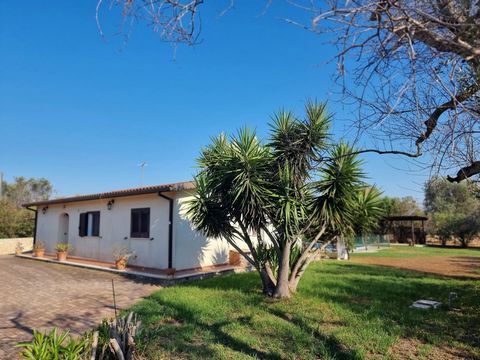 Just five minutes outside San Vito dei Normanni, in a not isolated area with neighbours living there all year round, a nice newly built villa with private swimming pool and appurtenant garden. The villa - in walk-in condition - comes with an entrance...