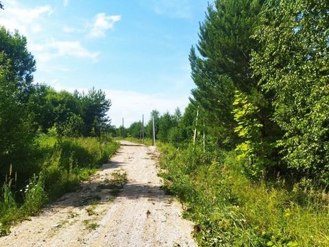 Продаю участок. Удобный подъездной путь к деревне. Можно добраться до него по высокоскоростному шоссе максимально быстро. Расстояние до поселка составляет 95 км от МКАД по Каширскому/Симферопольскому шоссе. Электричество 15 кВт, газ по границе поселк...