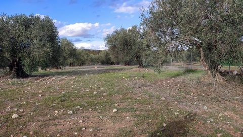 Plot for sale in Ardales, Asphalted, Fenced and Water.