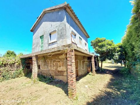 Maisons à restaurer, à vendre, insérées dans un terrain de 715m2, situé à Torre, Viana do Castelo. L’une des villas a déjà un projet de construction d’un T2. Les villas sont en articles indépendants, permettant la création de deux propriétés distinct...