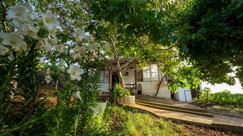 UNA FINCA QUE ENAMORA. Pasear, disfrutar, degustar y vivir momentos maravillosos en está preciosa finca rodeada de viñedos de aguacateros, árboles frutales. Está preciosa finca está ubicada cerca de la Carretera General muy cerca de todo tipo de come...