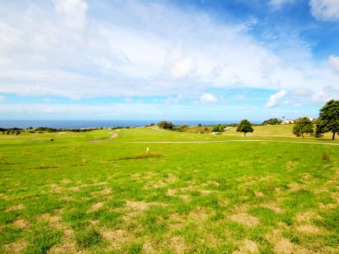 Located in Apes Hill. Apes Hill Club is a spacious development on 470 acres at the crest of Barbados where one can enjoy the true beauty of the island with panoramic views of both coasts. Apes Hill is designed to be a special community. The natural b...