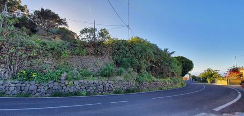 Stedelijke grond van 857 m² gelegen in La Patrona, in de gemeente La Guancha. Het is gelegen in een gebied met een prachtig uitzicht en zeer dicht bij het stedelijk gebied. Dit land is verdeeld in 2 delen, gescheiden door de straat Las Colmenitas: - ...