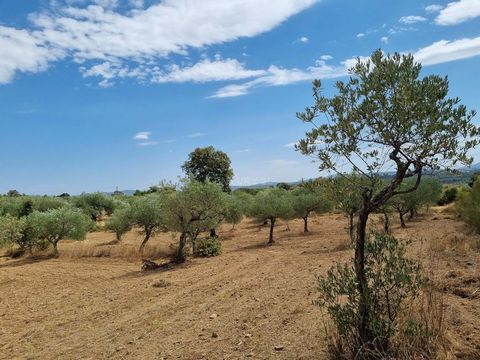 Rustic land consisting of 2 plots, the first one of 960 m2 and the second one of 6050 m2 separated by a dirt road, very close to the centre of the village of Quintas da Torre, in Fundão. Excellent agricultural land with several fruit and olive trees ...
