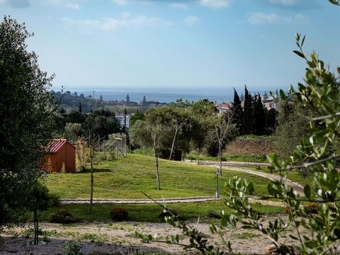 Fully fenced land with 22010 m2 very well located 5 minutes from the village of Queijas in the municipality of Oeiras, has sea views and has a tarred road to the door. It has fruit trees, automatic irrigation, windmill, company electricity and water,...