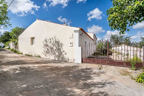 Property with 420 m2 of construction and 6123 m2 of land divided into 3 properties comprising: For a single storey house already renovated with 2 bedrooms, kitchen with traditional Algravia chimney and pantry, lounge, bathroom, patio and cistern. Thi...