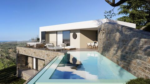 Villa D Chambres : 3 Salles de bain : 2 Terrain : 618 m2 Surface habitable : 135 m2 Livraison : fin 2024 Un complexe de 9 villas exclusives situé en Crète, à 12 km de la ville de Réthymnon, à l’extérieur du village d’Agia Triada. L’ensemble de la par...