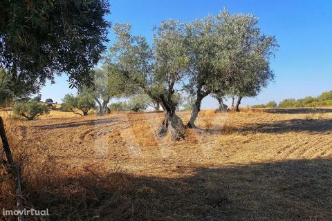 ALQUEVA, ALENTEJO... In the quiet village of Alquena , where the arid land joins with an immense dam also named ALQUEVA , we have to present you this URBANIZED LAND with 2000 m2 of area, consisting of arable culture. We have an order from the municip...