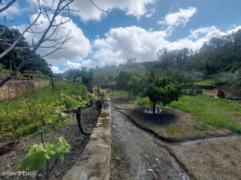 Bauernhof in Mouriscas, Abrantes Bauernhof in Badanela/Pisão Bruxo mit 2,3 ha und guter Zufahrt, bestehend aus 3 rustikalen Gegenständen. Dieser Bauernhof wird von einem Fluss durchquert, verfügt über eine Mine mit Trinkwasser, ist komplett eingezäun...