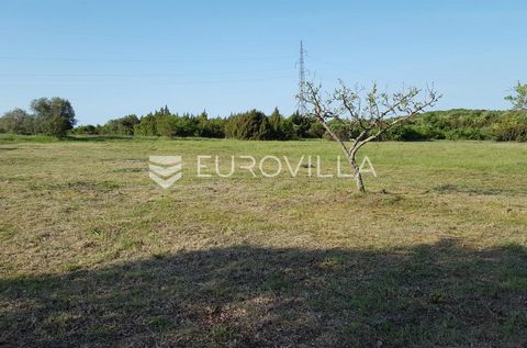 Istria, Rovinjsko selo, in the area of Rovinjsko selo, agricultural land covering a total area of 7217m2 is for sale. The land is located one kilometer southwest of the settlement, accessible via a dirt road. The land consists of several parcels of r...