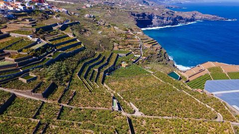 Zum Verkauf steht ein weitläufiges rustikales Grundstück in der idyllischen Gegend von Santa Domingo, in der Gemeinde La Guancha, Teneriffa. Mit einer Gesamtfläche von 47.724 Quadratmetern ist dieses Land eine einzigartige Gelegenheit für diejenigen,...