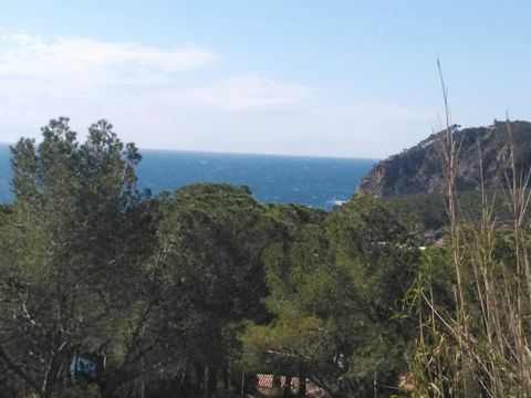 In the heart of Tamariu, an exclusive enclave on the Costa Brava. Unique opportunity to acquire this plot, one of two available for sale, which offers the combination of a unique location with sea and mountain views. Located just 200 meters from the ...