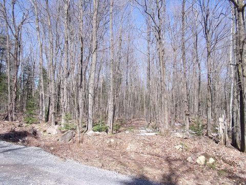 Woodlot of 80 arpents on 2 adjoining lots, frontage of 936 feet ideal for hunting, woodshed, setting up your forest camp, your sugar shack. The forest road passes between the two lots, accessible by motor vehicle/n/rfrom spring to fall and vehicle ad...