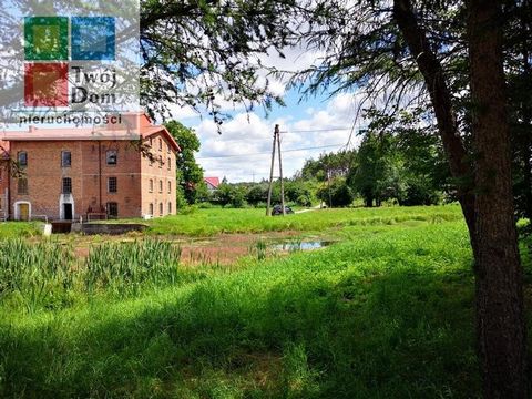Een oude molen uit 1908, compleet met een actieve waterkrachtcentrale en authentieke maalapparatuur. Deze buitengewone plek, op slechts 10 km van de snelweg S6 Szczecin – Gdańsk, biedt niet alleen historische charme, maar ook zorg voor onze planeet. ...