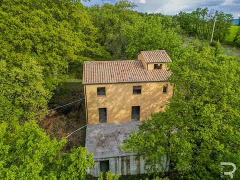 This rustico house, which is still under construction and located in the village of Castel'Ottieri, will undoubtedly delight you with its potential and remarkable location. Nestled in the picturesque countryside, south of Monte Amiata and surrounded ...