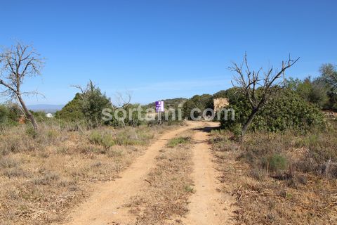Rustic plot of land with ruin, near Tunes. This land has an area of 3240 m2 and a ruin to rebuild. Located just five minutes from Tunes, this is a fantastic opportunity for the once loving nature and green spaces. A quiet area with a magnificent and ...