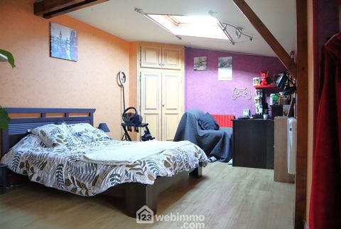 photo no. 19