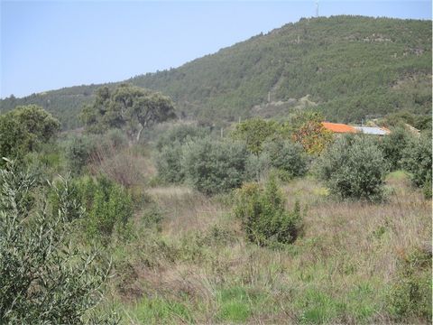 Bauernhof mit einer Gesamtfläche von 20.000 m², mit Obstbäumen, traditionellen Olivenbäumen, Weinbergen, Ackerfläche. Mit viel Wasser aus 3 Brunnen und einem landwirtschaftlichen Nebengebäude. Es besteht die Möglichkeit, ein Haus mit 200m² / Boden zu...