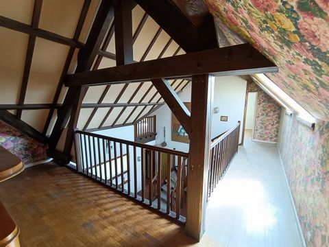 photo no. 10