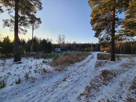 Предлагаю Вашему вниманию земельный участок, общей площадью 12,5 соток, расположенный в пос. Солнечном. Категория земель – земли населенных пунктов. Разрешенное использование – ИЖС. Участок расположен на въезде в поселок, съезд с главной асфальтирова...