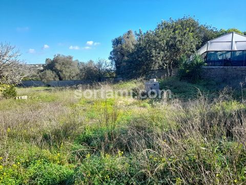 Excelente terreno na Maritenda, Boliqueime. Com uma área total de 2822 m 2  este terreno é constituído por uma parcela com algumas árvores de cultura tais como amendoeiras, figueiras, uma oliveira e uma alfarrobeira  . A 5 minutos do centro de Boliqu...