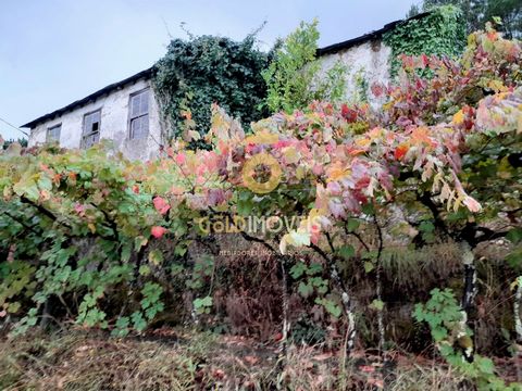 House to restore in São Martinho de Sardoura, Castelo de Paiva 2 bedroom villa for restoration in São Martinho de Sardoura, Castelo de Paiva, with approved project. It is located on a plot of land with a total area of 2894.9 m2, with excellent sun ex...