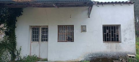 House with surrounding land of approximately 1600 m2. There used to be a bakery on site and there are water and electricity connections ready to be restored. The house needs total restoration, depending on the new owners and new use. Flat land with s...