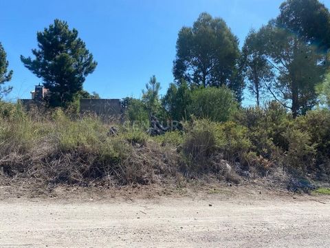 Terreno regular de 600m2, situado na Rua Professor Egas Moniz, Pinhal de Frades. Numa rua paralela à avenida Vasco da Gama, no limite dos Foros da Catrapona com a Quinta das Laranjeiras. Zona com grande desenvolvimento futuro. A aguardar resposta do ...