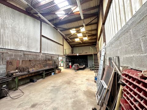 photo no. 2