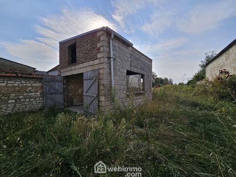 photo no. 11