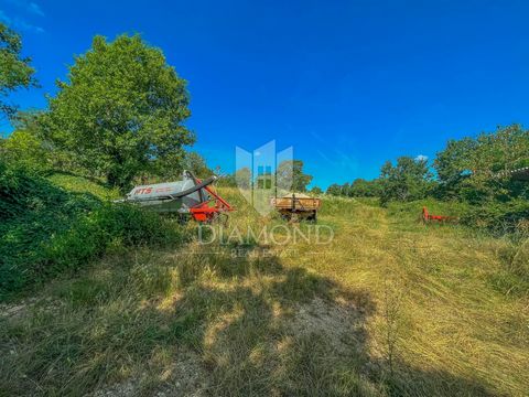 Location: Istarska županija, Motovun, Motovun. Istria, Motovun area Land for sale in a quiet location not far from Motovun. The land area is 4680 m2. The construction part of the plot is approximately 2945 m2, while the rest of the plot is agricultur...