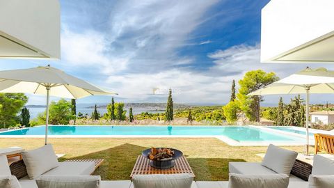 Brand new villa for sale in the area of Agios Aimilianos in Porto Heli, Argolida. The villa is arranged in 3 levels with the main living spaces covering a total area of 430 sqm. On the main level we find the living room with the dinner area,the kitch...