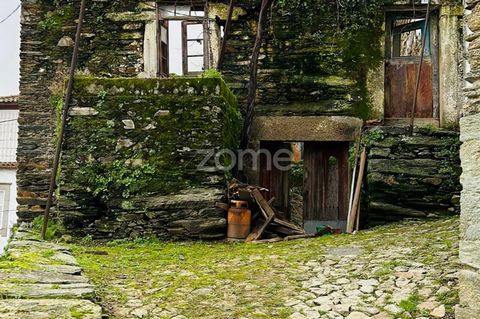 Identificação do imóvel: ZMPT573478 Entdecken Sie diese renovierungsbereite Ruine im Herzen des malerischen Dorfes São Cristóvão, in der Gemeinde Sabrosa, direkt im UNESCO-Weltkulturerbe der Weinregion Alto Douro. Das Anwesen besteht aus einem Erdges...