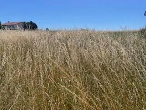 À vendre – Terrain constructible de 10,54 ares