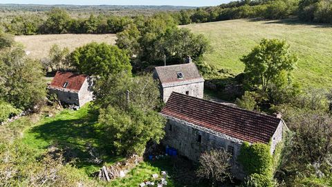 3 bâtiments - Beau terrain 2ha