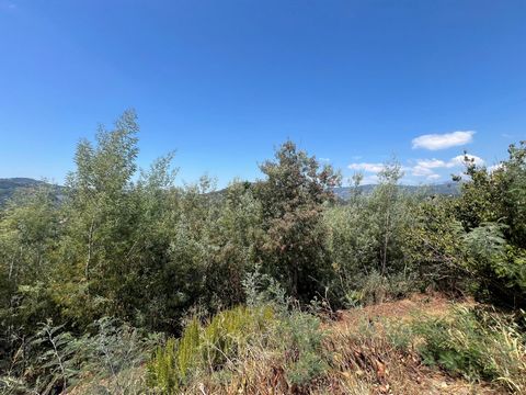 Auribeau-Sur-Siagne : Terrain non constructible Zone N