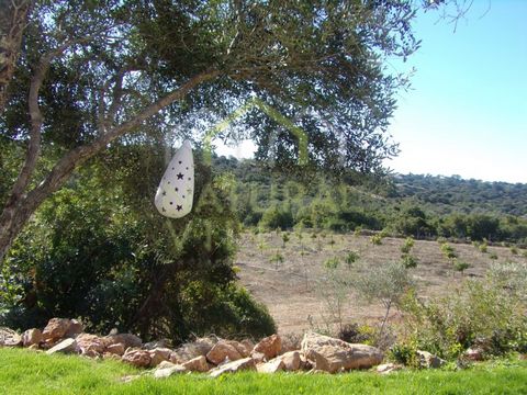 Large rustic land a few minutes from the city of Loulé, in the Algarve. This property has a total area of 90.826m2 - 9ha - being composed of two (2) distinct rustic buildings. The first rustic building has a total area of 50,700m2 (5ha) being describ...